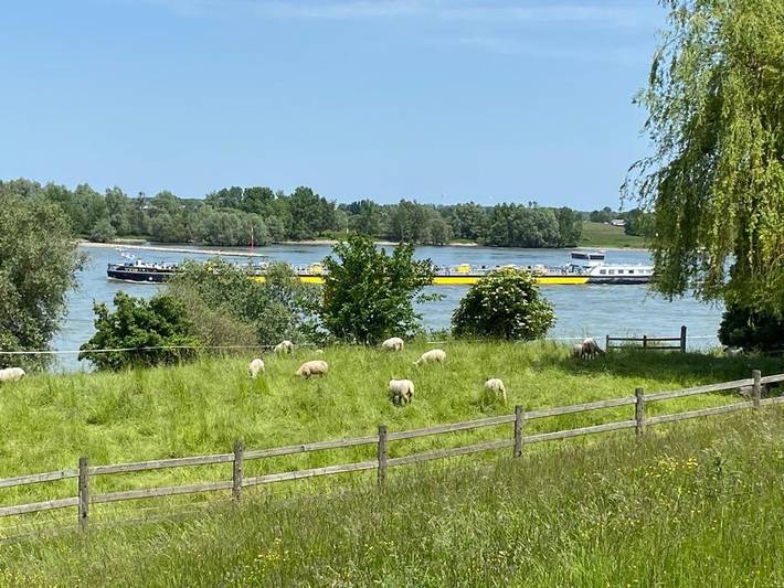 Ferienhaus für 9 Personen, mit Terrasse und Garten sowie Ausblick in Wesel - 2