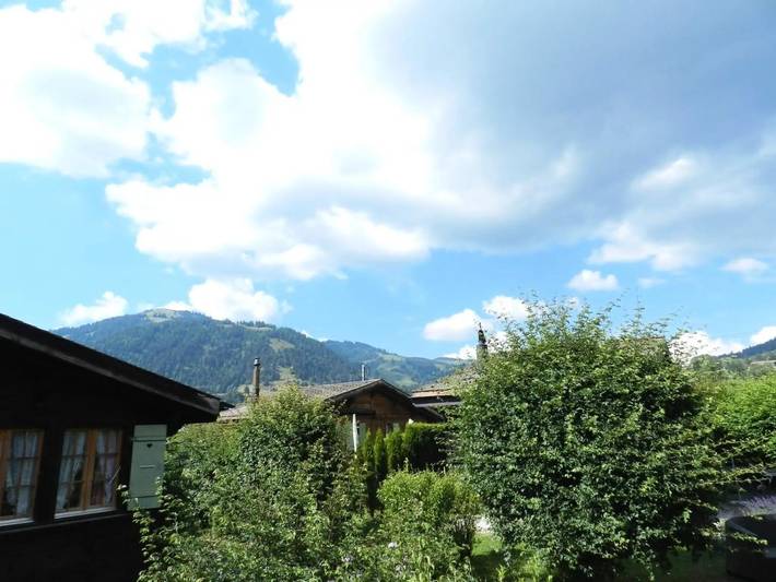 Ganze Wohnung, 2 Zimmer 2 Personen in Gstaad, Saanen