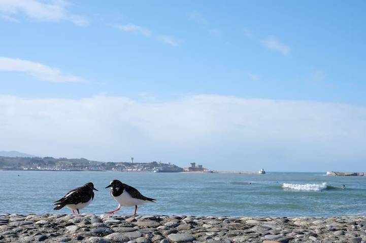 Villa for 6 people, with garden in Biarritz
