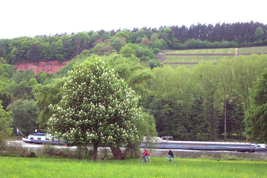 Ganze Wohnung, Ferienwohnung "Auf Schäfers Spuren" - Ferienwohnung mit Kaminofen und Balkon in Bürgstadt, Fränkisches Weinland