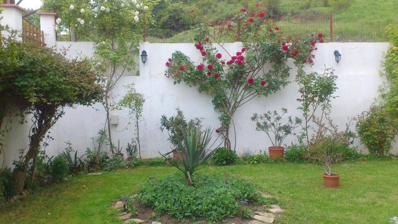 Double Room with Private Bathroom in Obzor, Bourgas (oblast)