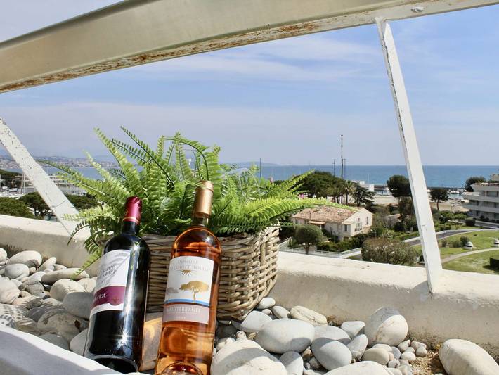 Gîte pour 4 personnes, avec terrasse, animaux acceptés dans Port Marina Baie des Anges - 2