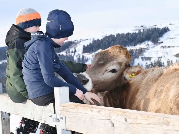 Bauernhof für 2 Personen, mit Sauna und Garten im Bregenzerwald - 2