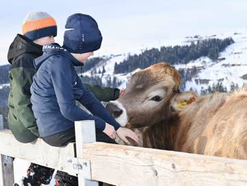 Bauernhof für 2 Personen in Krumbach (Vorarlberg), Bodensee (Österreich), Bild 1