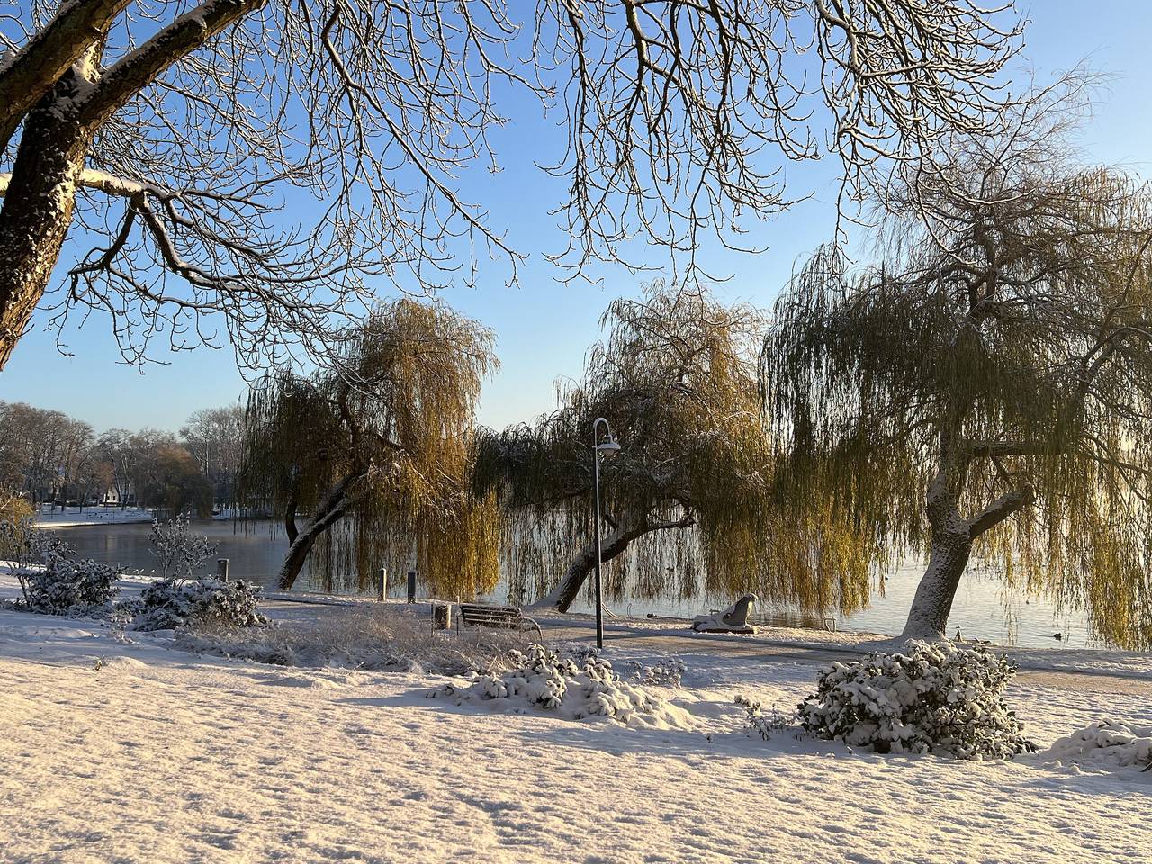 Ganze Wohnung, Ferienwohnung 'Souterain' mit Seeblick, privater Terrasse und Wlan in Röbel, Müritz