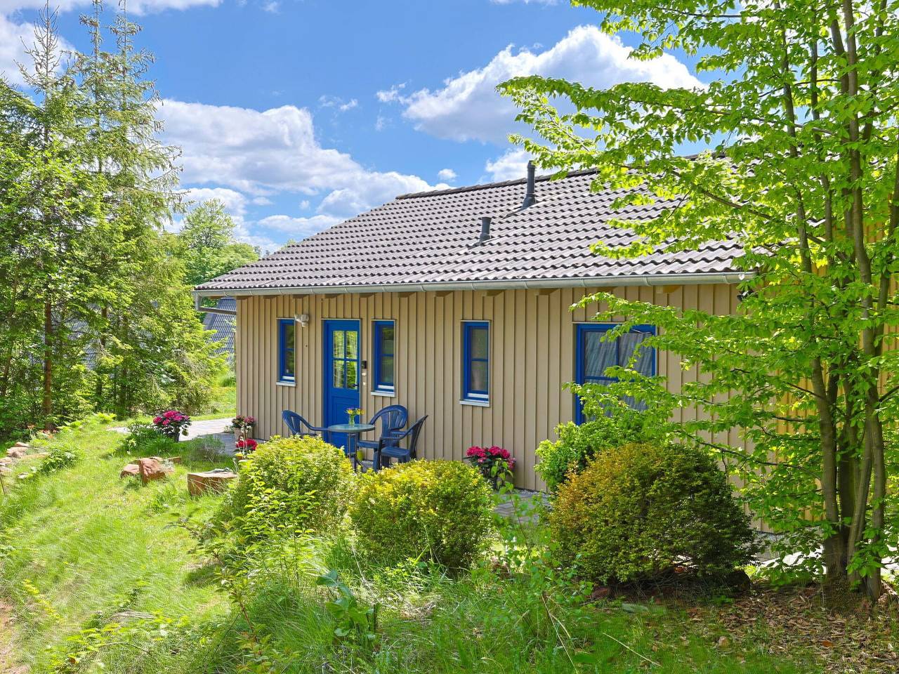 Ferienhaus Bude 87 - Ferienhaus Bude 87 609.1 in Bad Arolsen, Twistesee