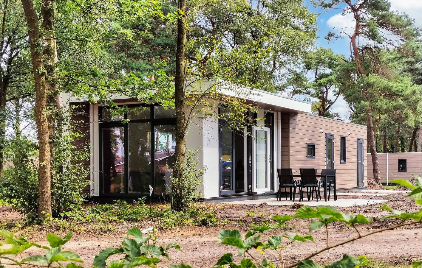 Vakantiehuis voor 4 personen met terras in Sallandse Heuvelrug
