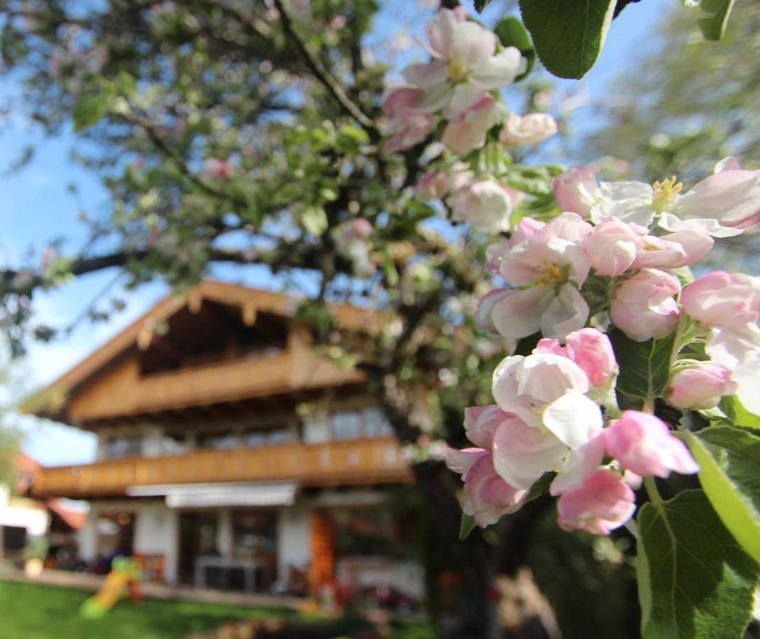 Ganze Wohnung, One-Bedroom Apartment in Schliersee, Bayerische Alpen