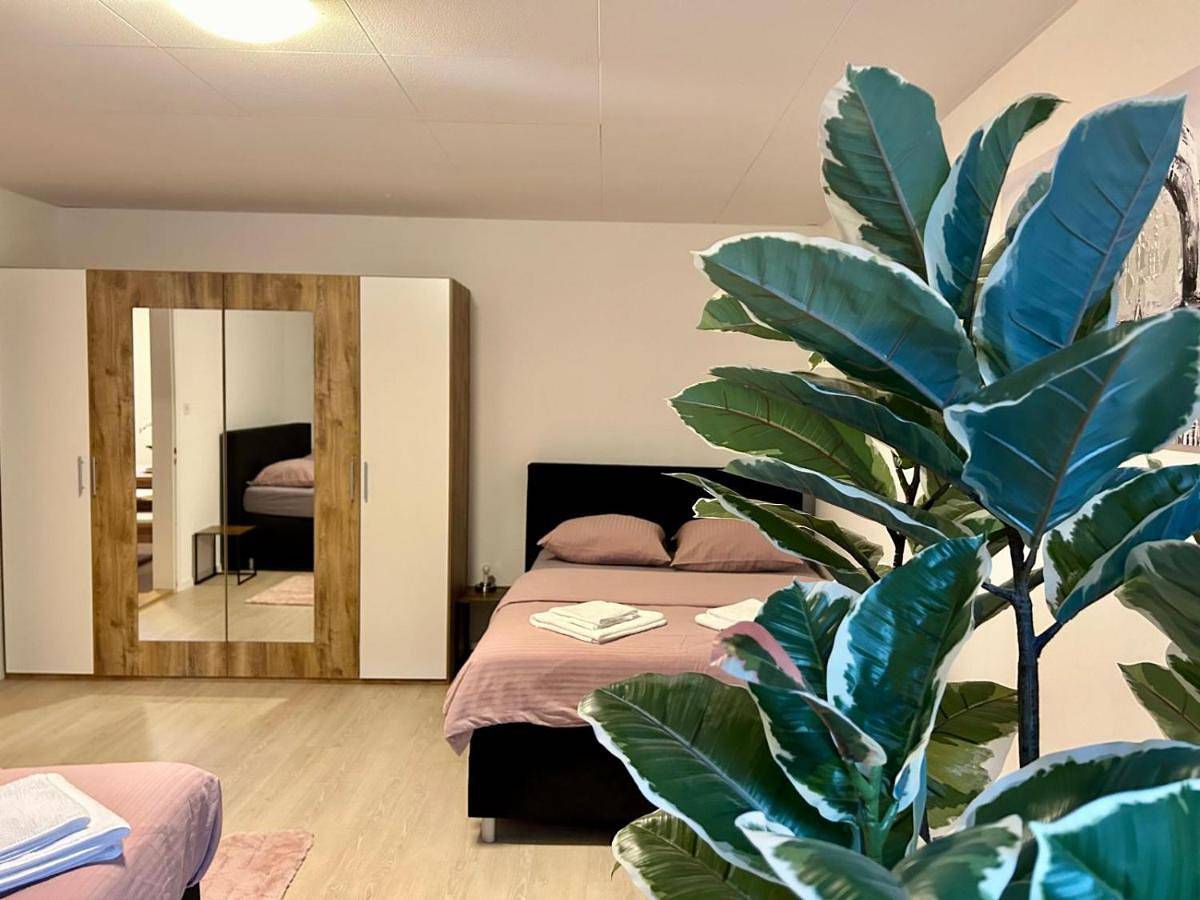 Entire apartment, Double Room with Shared Bathroom in St. Gallen, Zurich Prealps