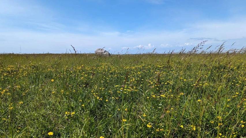 Ferienhaus für 7 Personen, mit Terrasse in Gedser - 3