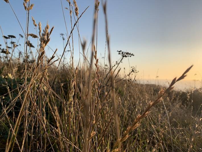 Vacation rental for 5 people, with terrace in Sonoma County