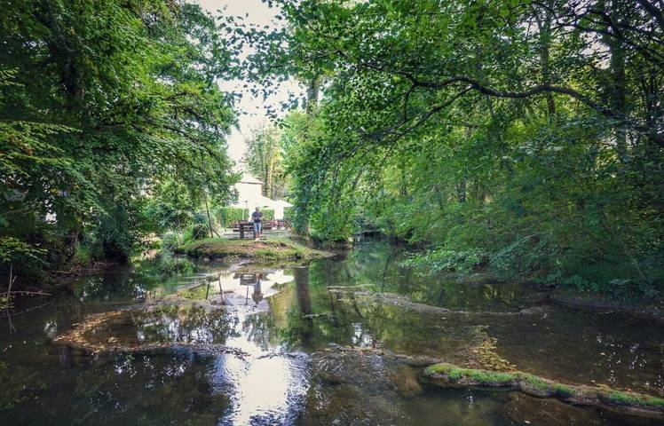 Location de vacances pour 5 personnes, avec bassin pour enfant et vue ainsi que piscine et jardin, adapté aux familles à Terrasson-Lavilledieu - 4