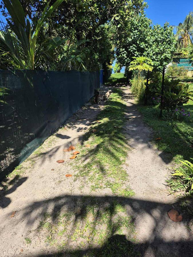 Maison d’hôte pour 2 personnes, avec terrasse ainsi que jardin et vue dans Ha'apiti - 3