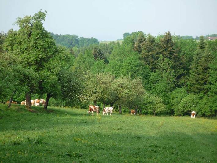Bauernhof für 2 Personen, mit Garten, kinderfreundlich in Landkreis Rosenheim - 2