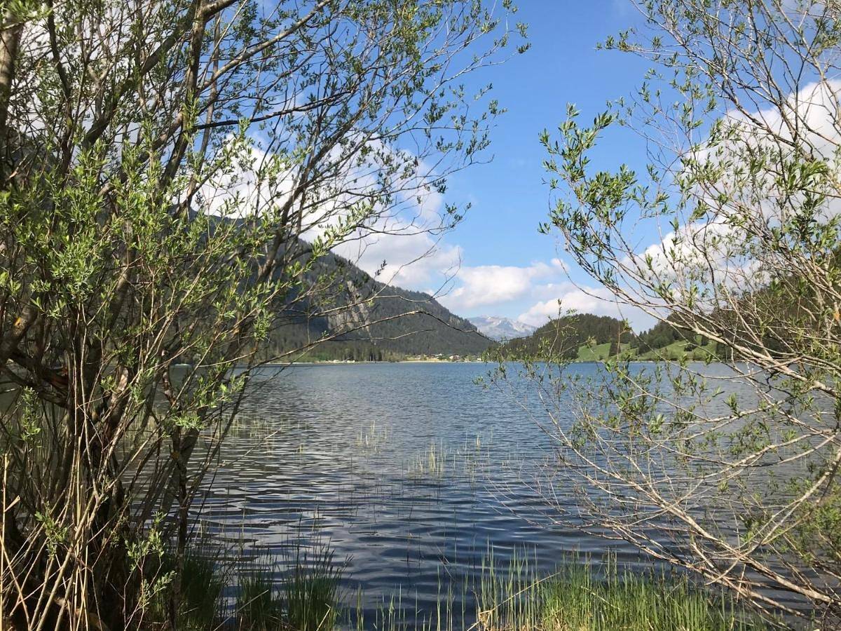 Ganze Wohnung, Apartment with Lake View in Haller am Haldensee, Allgäuer Alpen (Österreich)