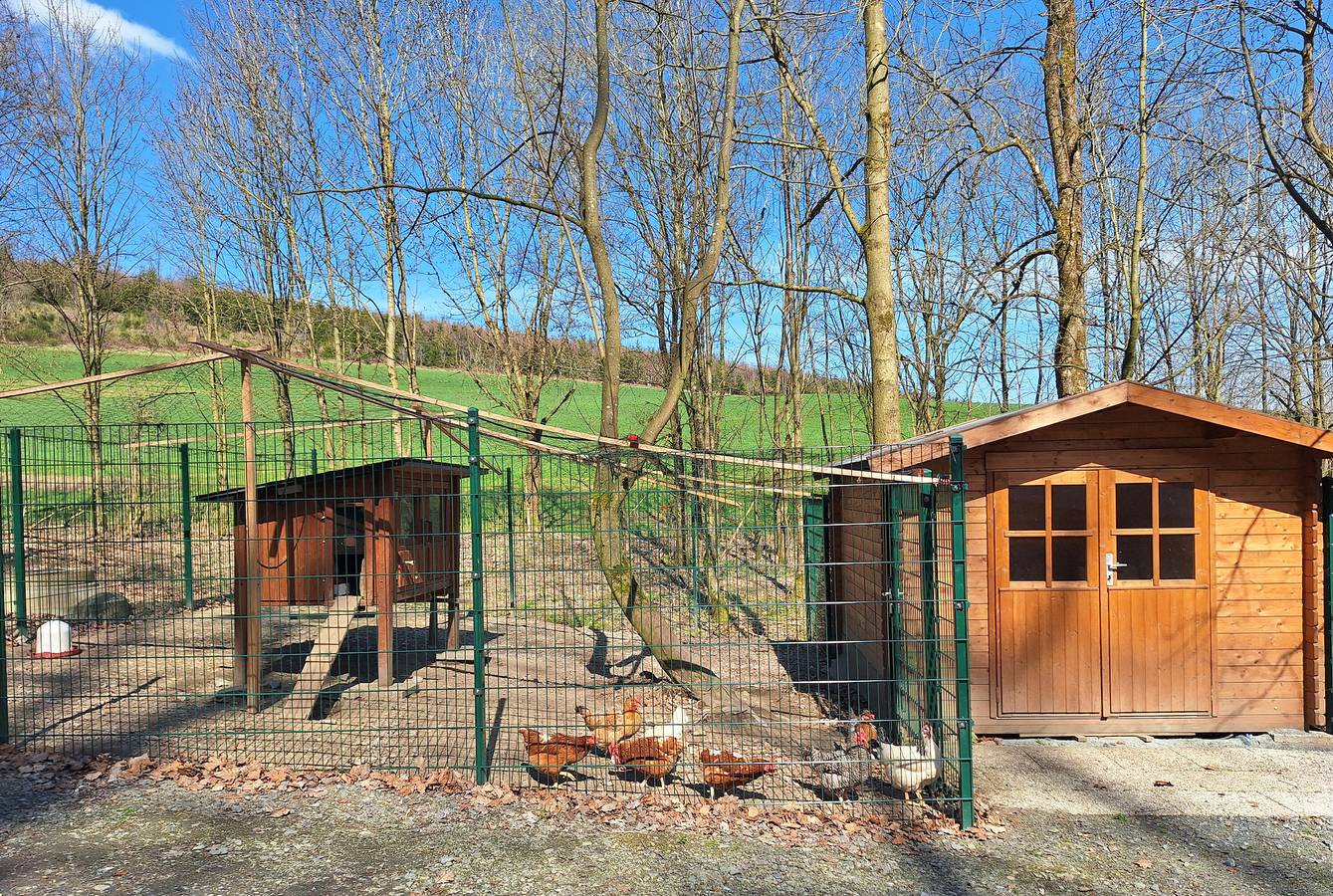 Blockhaus - Blockhaus 2 in Eslohe, Hochsauerlandkreis