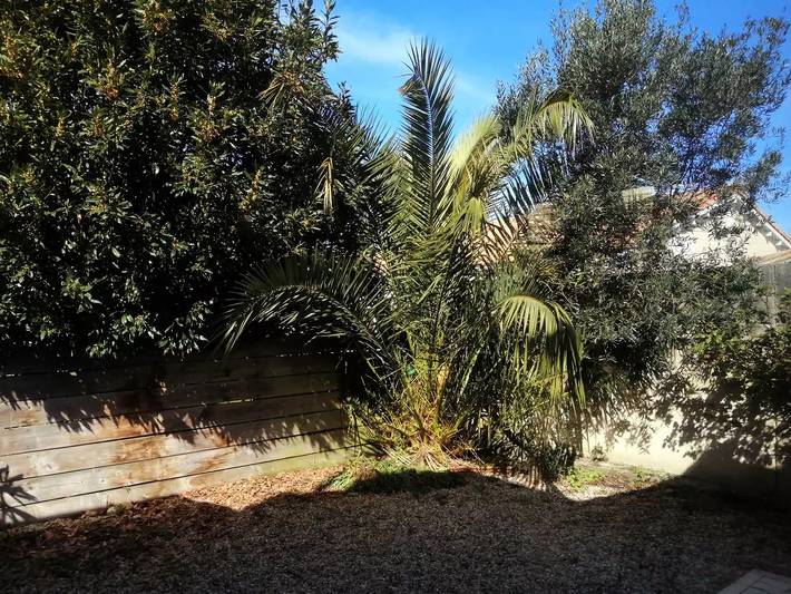 Ferienhaus für 6 Personen, mit Pool und Ausblick sowie Terrasse in Vendays-Montalivet - 2