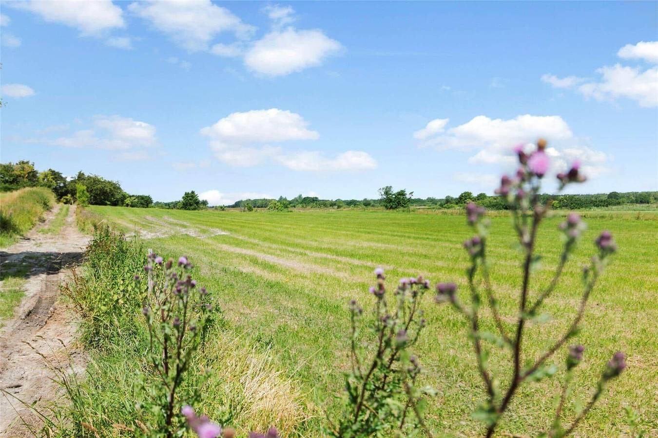 1035 Stege - Teglværksvej 39 in Ulvshale, Vordingborg und Umgebung