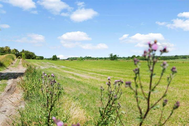 Ferienhaus für 4 Personen, mit Terrasse auf Møn - 2