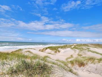 Ferienhaus für 4 Personen in Houvig Strand, Holmsland Klit, Bild 2