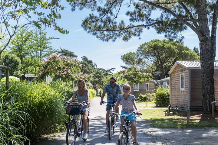 Mobil home pour 4 personnes, avec sauna ainsi que terrasse et piscine, animaux acceptés à Nantes - 4