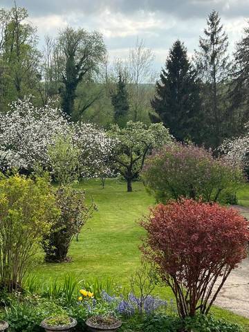 Gîte pour 2 personnes, avec piscine ainsi que jacuzzi et jardin à Auxi-le-Château