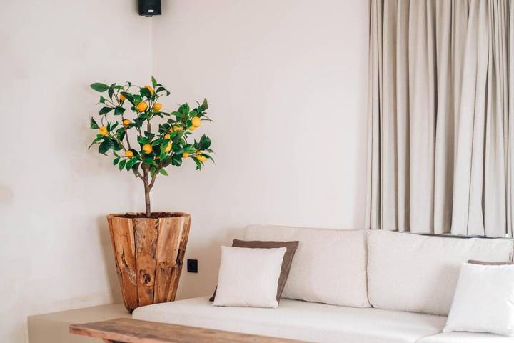 Location de vacances pour 26 personnes, avec terrasse ainsi que vue et jardin, adapté aux familles dans Westouter - 4