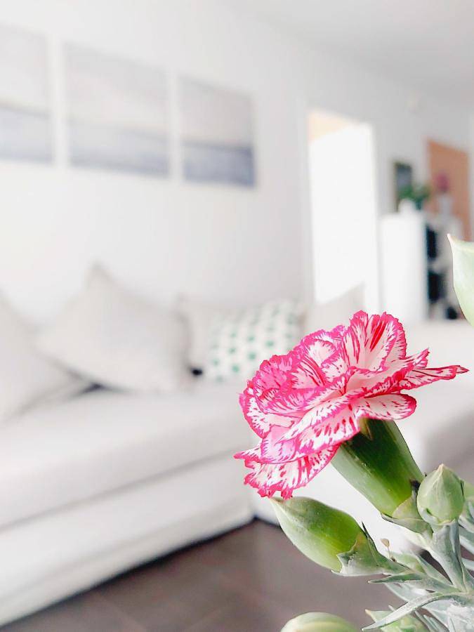 Appartement de vacances pour 4 personnes, animaux acceptés - 1