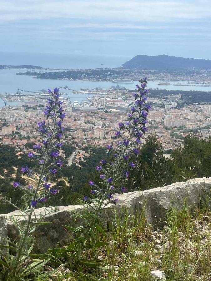 Appartement entier, One-Bedroom Apartment in Toulon, Côte méditerranéenne (France)