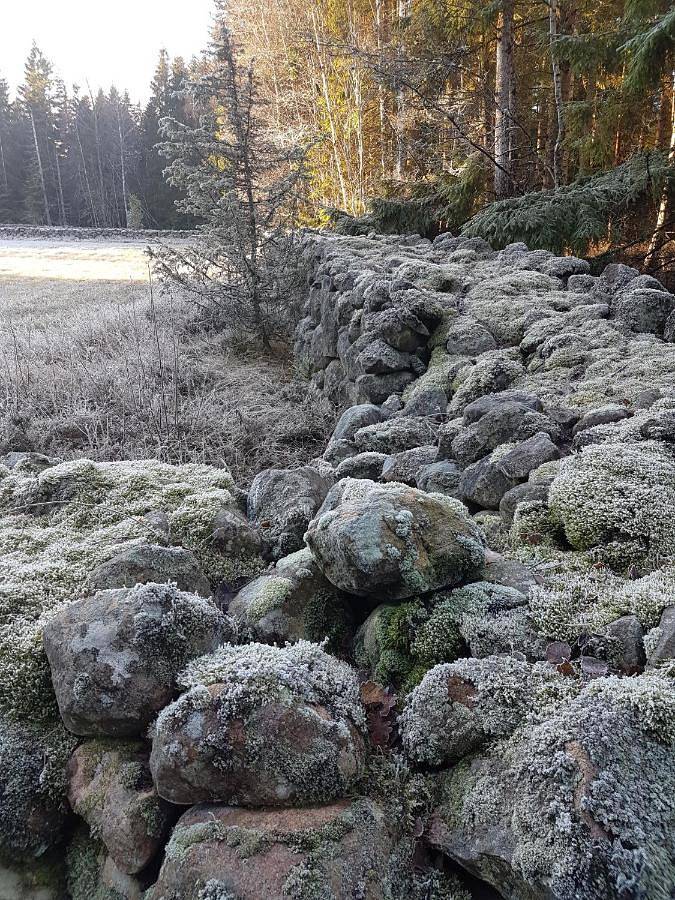 Camping für 2 Personen, mit Sauna und Pool sowie Whirlpool und Garten in Schweden - 4