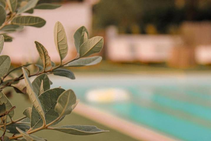 Location de vacances pour 4 personnes, avec Terrasse ainsi que Jardin et Piscine à Saint-Thomé - 4