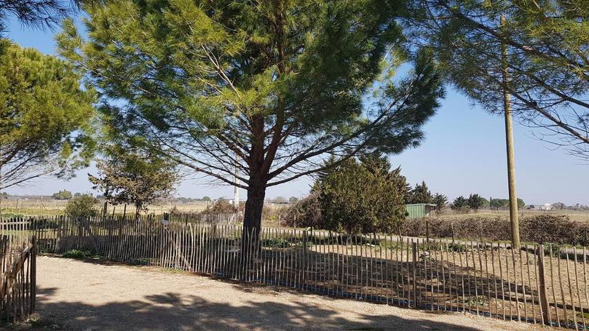 Location de vacances pour 4 personnes, avec jardin ainsi que vue et piscine à Saint-Laurent-d'Aigouze - 2