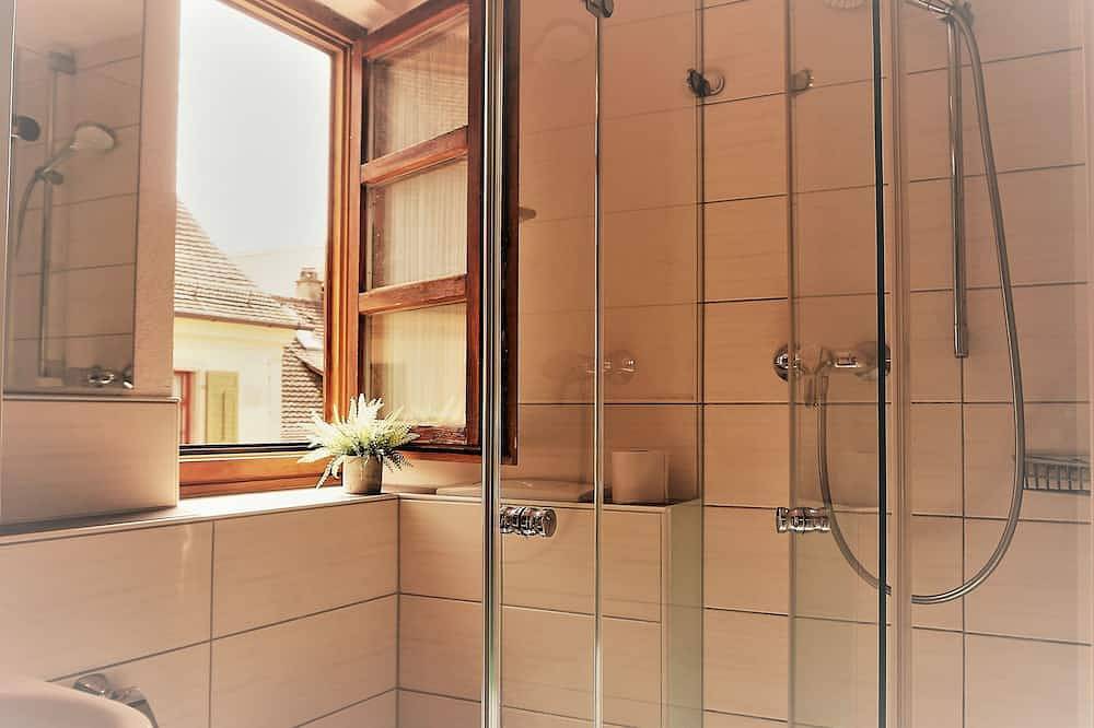 Double room Liechtenstein - Into the fishing net in Meersburg, Obersee (Bodensee)