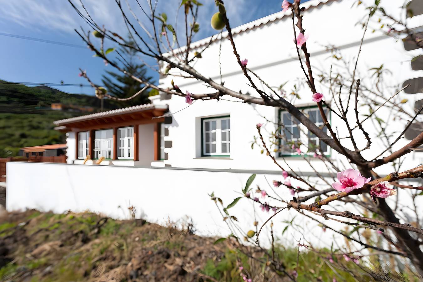 Casa Vacacional 'Los Duraznos' con Terraza Privada, Jardín Privado y Wi-Fi in Callejones, Villa de Mazo