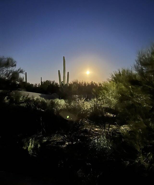 Vacation rental for 2 people, with terrace and hot tub in Scottsdale