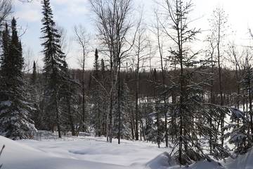 Log Cabin for 5 Guests in Lake Superior, Picture 2
