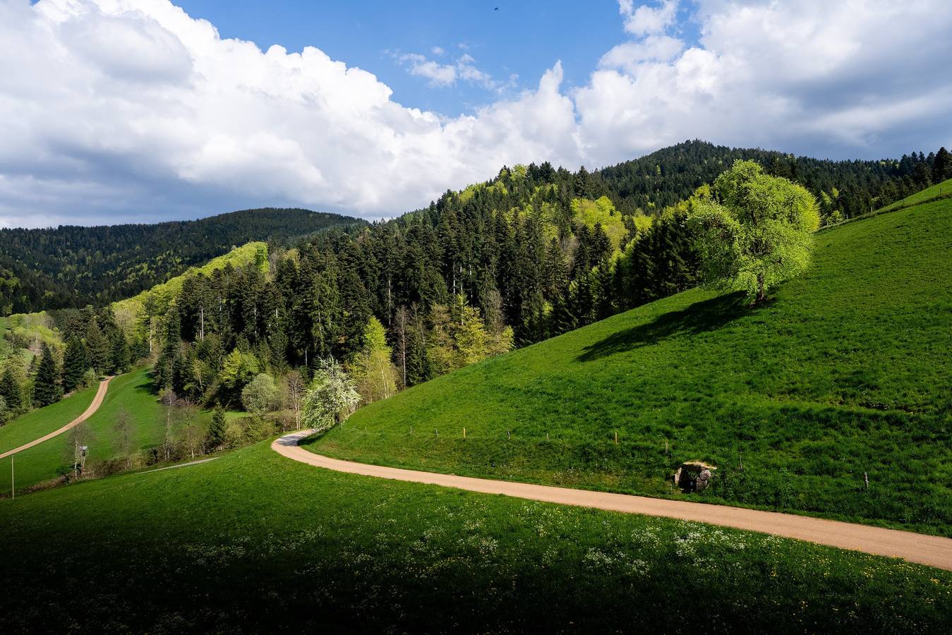 Apartamento inteiro, Stinneshof – um refúgio tranquilo para uns dias longe da rotina in Oberharmersbach, Central Black Forest