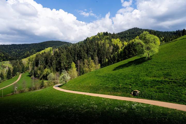 Gîte pour 3 personnes, avec jardin, animaux acceptés à Oberharmersbach - 4