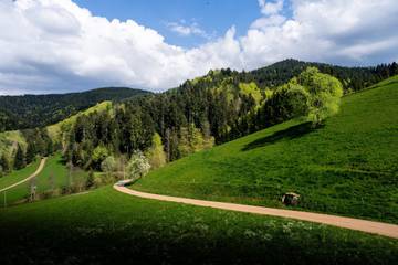 Bauernhof für 3 Personen in Oberharmersbach, Mittlerer Schwarzwald, Bild 3
