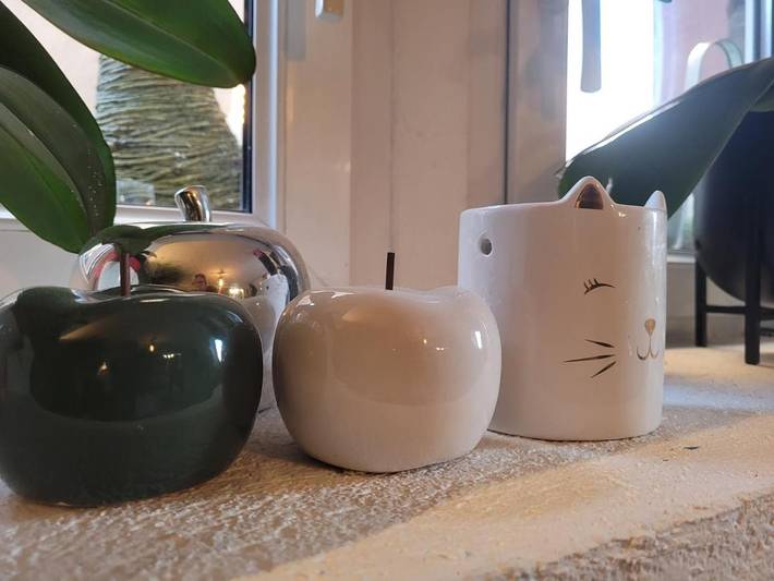 Gîte pour 10 personnes, avec jardin à Dorlisheim - 4