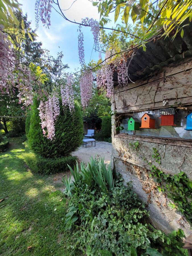 Location de vacances pour 4 personnes, avec jardin et piscine à Saint-Denis-de-Villenette - 3