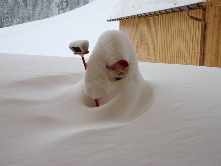 Villa Natur - wohnen der anderen Art in Bregenzerwald (Vorarlberg), Schröcken