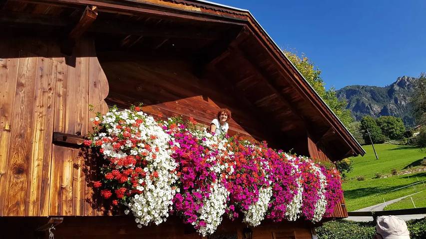 Hütte für 4 Personen, mit Garten in Alpbach - 2