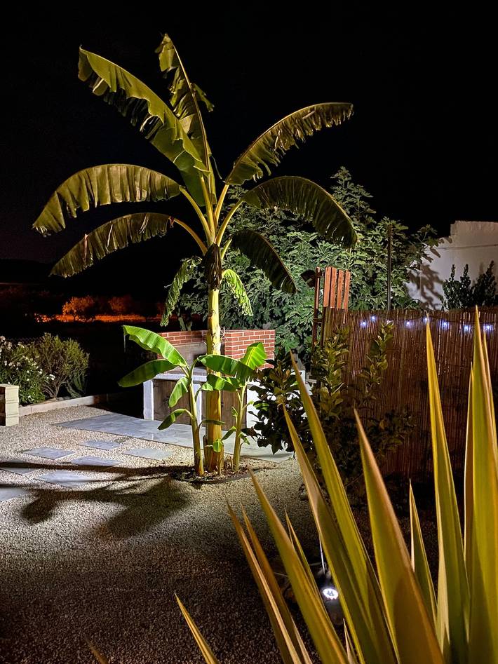 Casa rural para 6 personas, con Jardín en Provincia de Murcia - 3