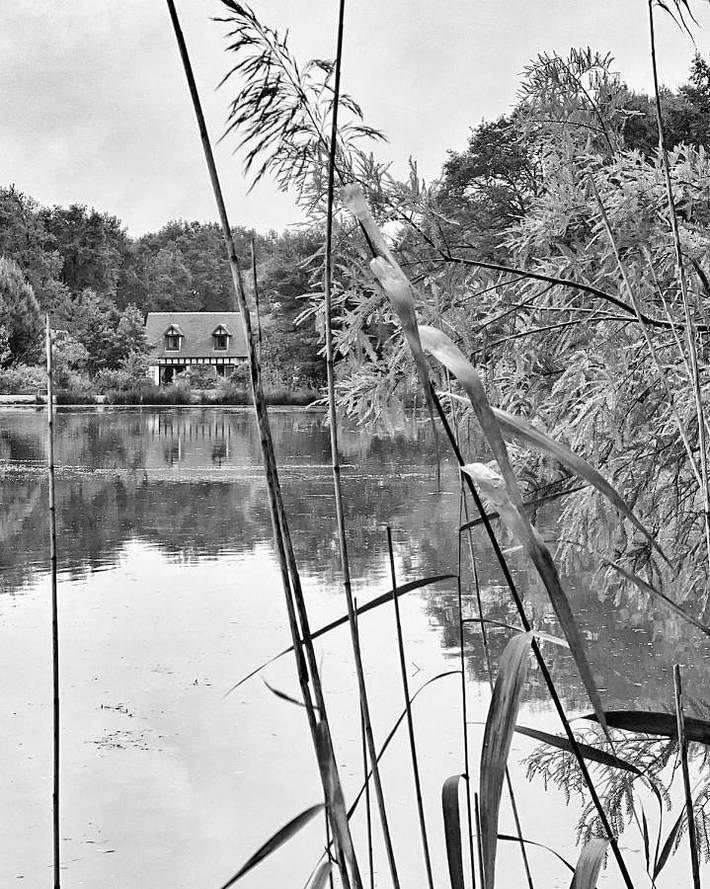 Location de vacances pour 8 personnes, avec Piscine ainsi que Sauna et Vue à Mur-de-Sologne - 4
