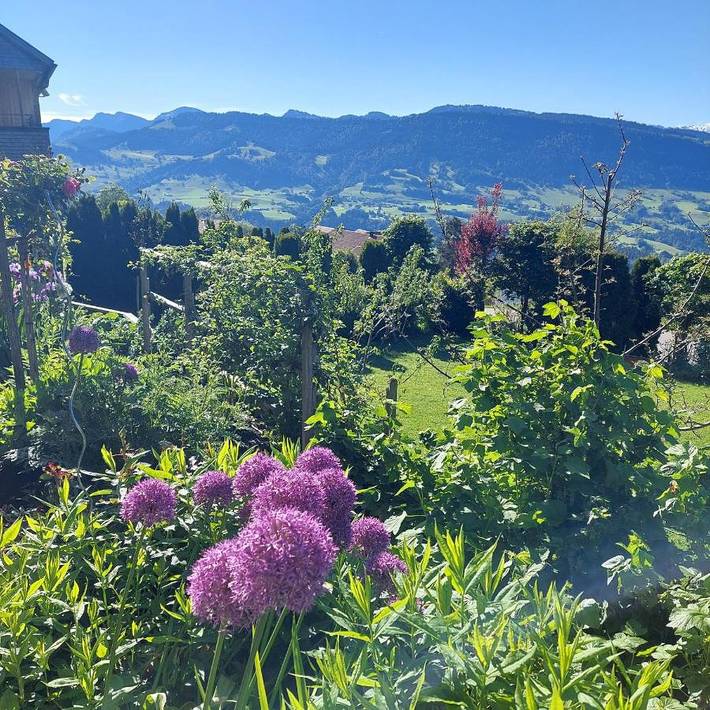 Ferienwohnung für 6 Personen, mit Garten und Ausblick in Sulzberg (Österreich)