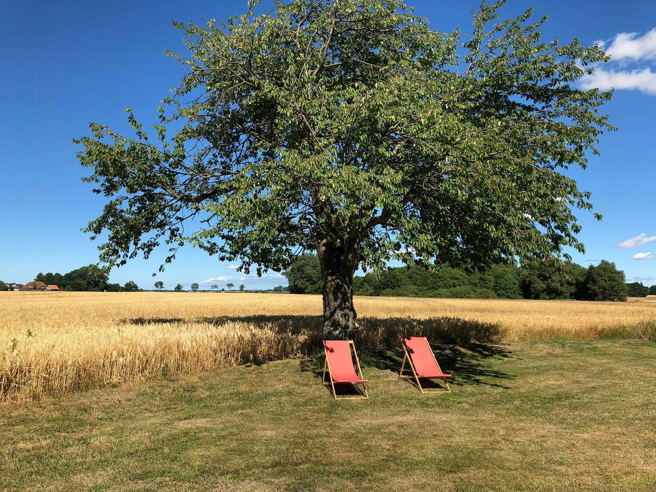 Moderne im Bauernhaus mit Boddenblick in Ummanz, Rügen