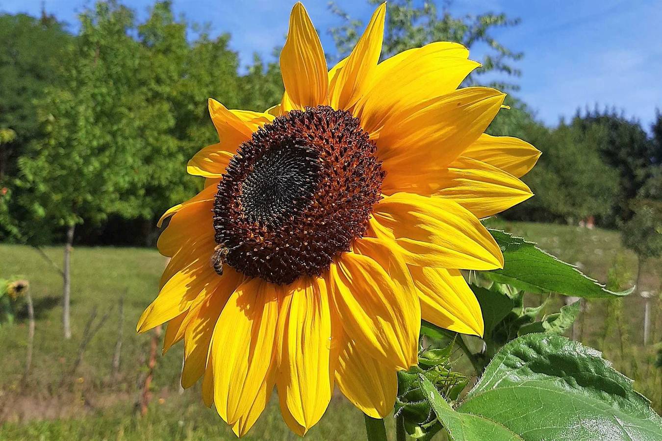 Neu! Zimmer D&amp;A in der Nähe des Nationalparks Plitvicer Seen in Karlovac und Umgebung