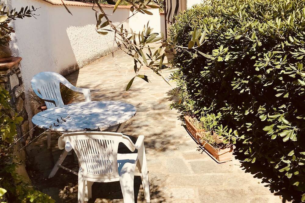 Absolute Ruhe im Olivenhain in Diano San Pietro, Riviera di Ponente