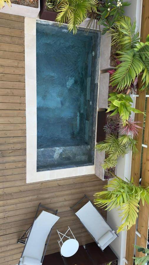 Location de vacances pour 6 personnes, avec jardin ainsi que piscine et vue dans Vincendo - 3